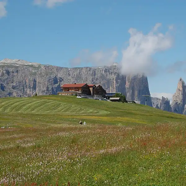 Alpe Di Siusi, Dolomites